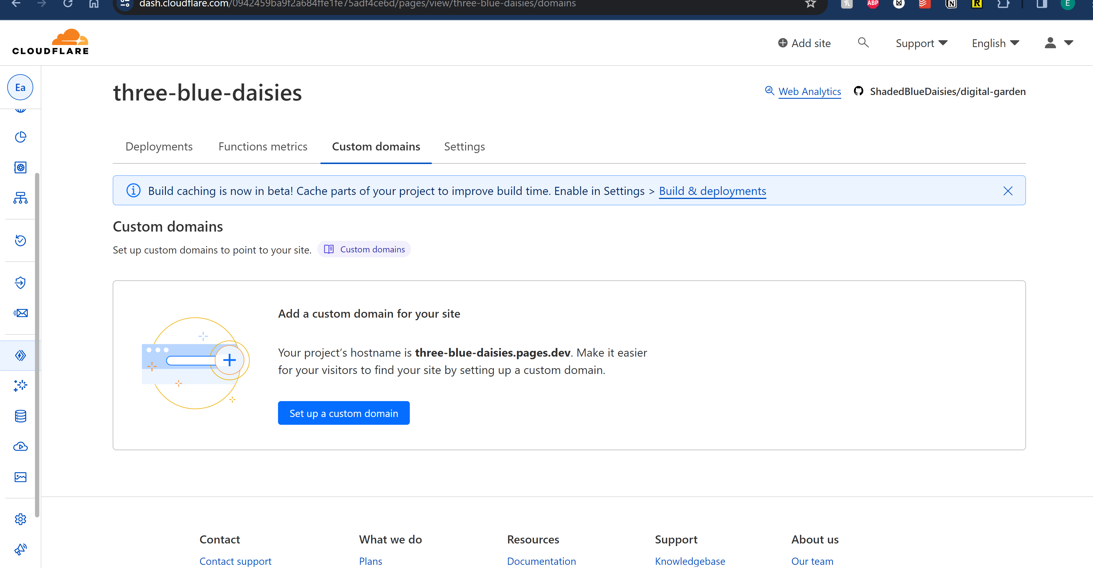 Custom domain screenshot.png